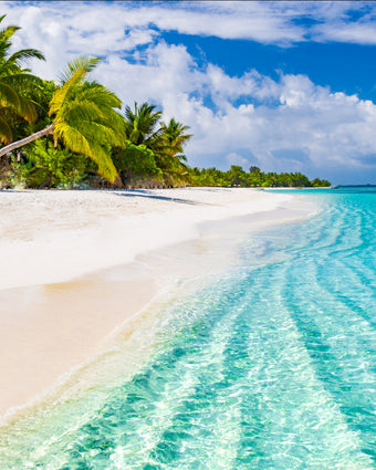 Blue Waters Tropical Beach  -  [Custom printed at R598/m²]