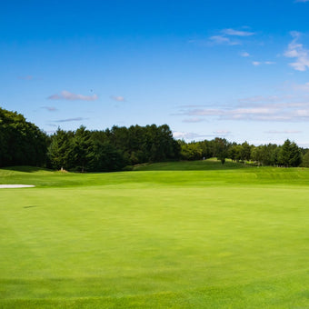 Golf Course  -  [Custom printed at R560/m²]