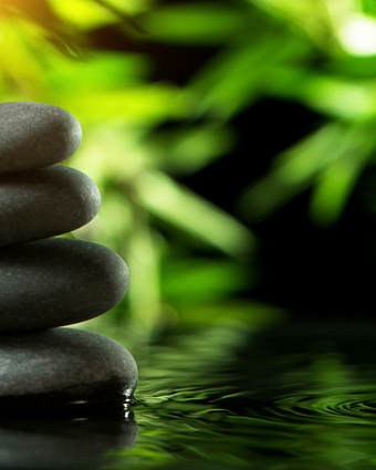 Wellness  -  [Custom printed at R598/m²]