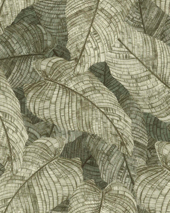 Vintage botanical wallpaper featuring overlapping fern leaves in soft sage and olive green tones, creating a richly textured nature-inspired pattern.