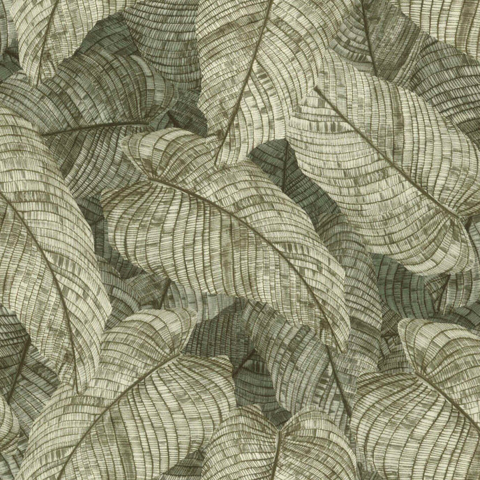 Vintage botanical wallpaper featuring overlapping fern leaves in soft sage and olive green tones, creating a richly textured nature-inspired pattern.