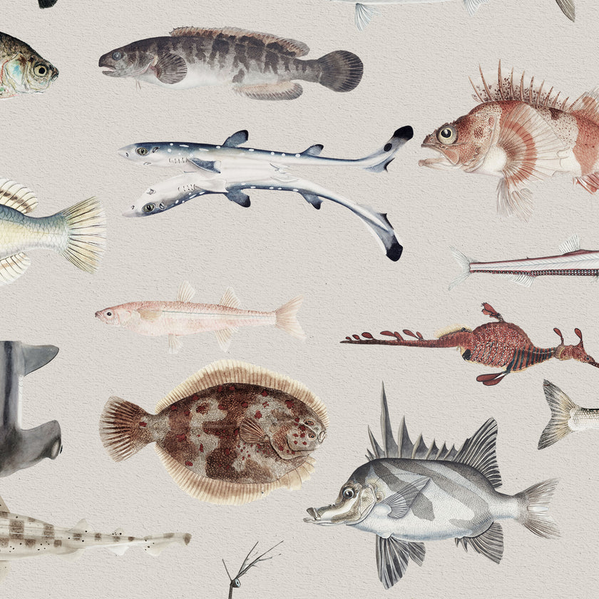 Vintage Marine Archive - Grey -  [Custom printed at R598/m²]