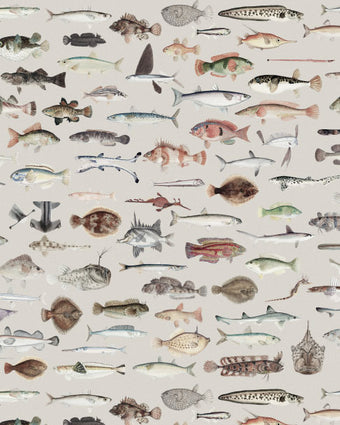 Vintage Marine Archive - Grey -  [Custom printed at R598/m²]