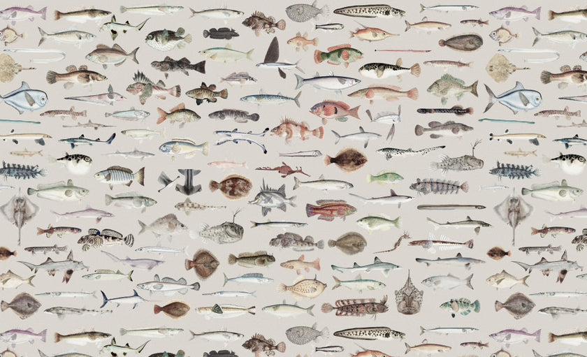 Vintage Marine Archive - Grey -  [Custom printed at R598/m²]