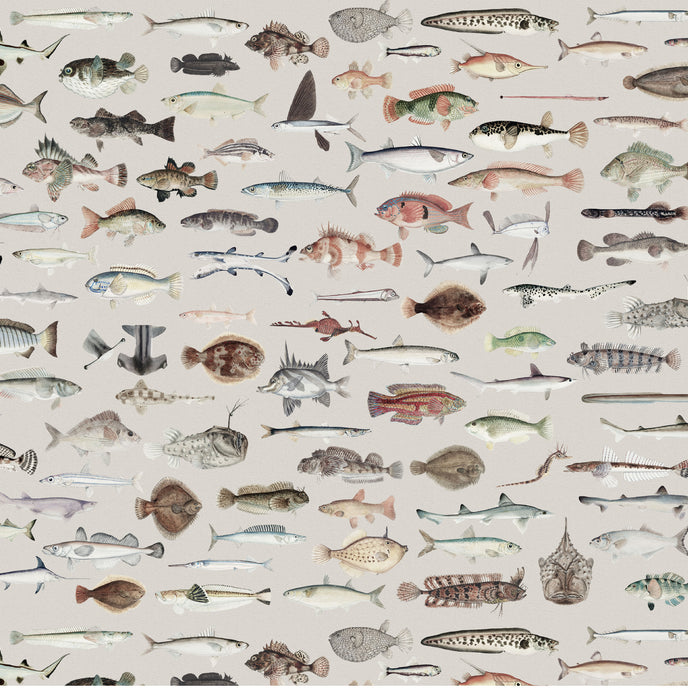 A repeating pattern of various illustrated fish in muted natural tones on a light warm grey background.