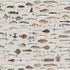 A repeating pattern of various illustrated fish in muted natural tones on a light warm grey background.