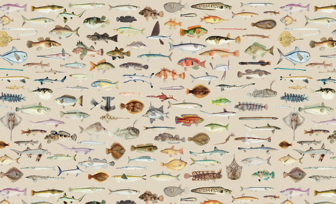 Vintage marine wallpaper with a seamless repeat, featuring antique style fish illustrations in soft natural tones, creating a timeless coastal look. Displayed on a wall in a coastal inspired living room. 