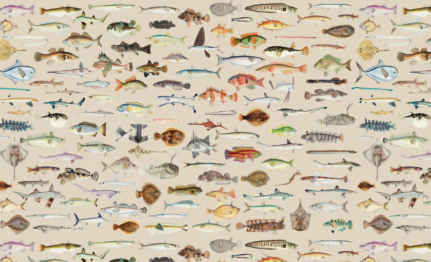 Vintage marine wallpaper with a seamless repeat, featuring antique style fish illustrations in soft natural tones, creating a timeless coastal look. Displayed on a wall in a coastal inspired living room. 