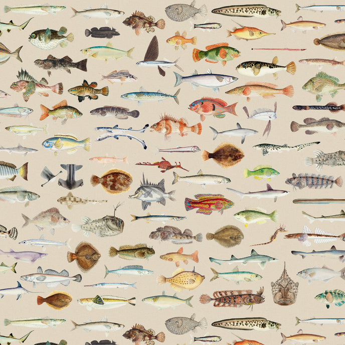 Vintage marine wallpaper with a seamless repeat, featuring antique style fish illustrations in soft natural tones, creating a timeless coastal look. Displayed on a wall in a coastal inspired living room. 
