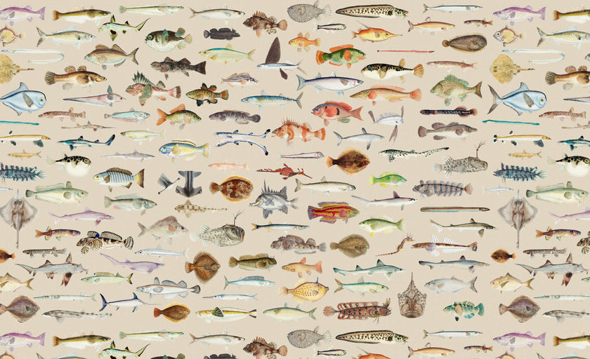 Vintage marine wallpaper with a seamless repeat, featuring antique style fish illustrations in soft natural tones, creating a timeless coastal look. Displayed on a wall in a coastal inspired living room. 