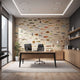 A modern office interior featuring a large wall mural covered in detailed illustrations of various fish species. The room includes a wooden desk with a black office chair, a computer monitor, a small potted plant, shelving, and a light coloured rug on a wooden floor.