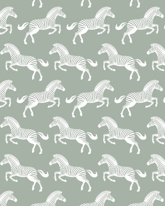 Soft sage green wallpaper featuring a repeating pattern of detailed white zebras.