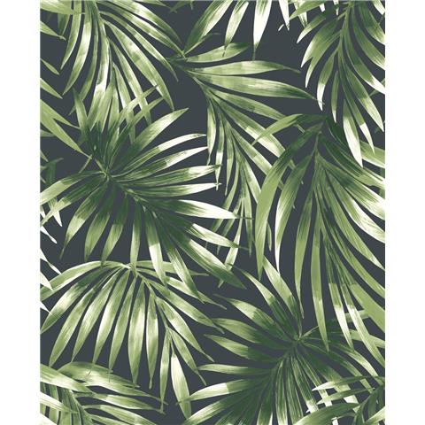 Easy Kabuki Palm Green 106413