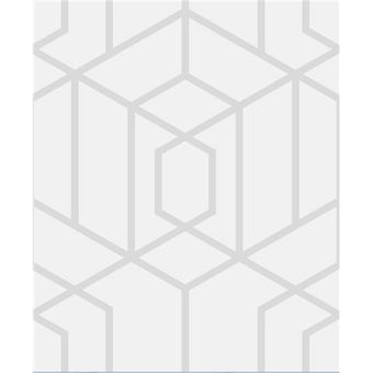 Vogue Trellis Silver 112091