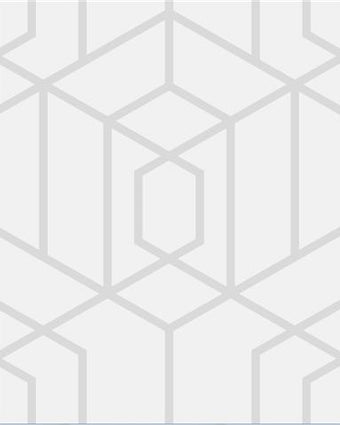 Vogue Trellis Silver 112091