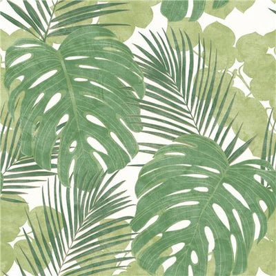 Exotic Jungle Palm Wallpaper 214628
