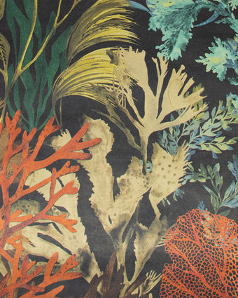TROPICAL Bora Bora Blackberry 26737