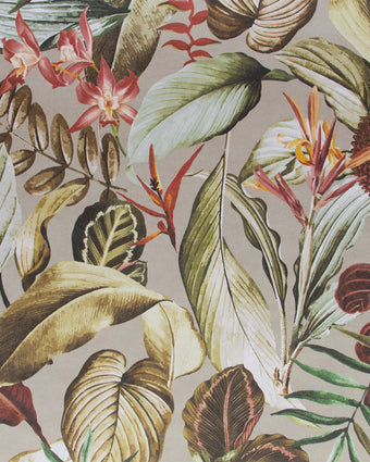 TROPICAL Kiribati Peanut 26738