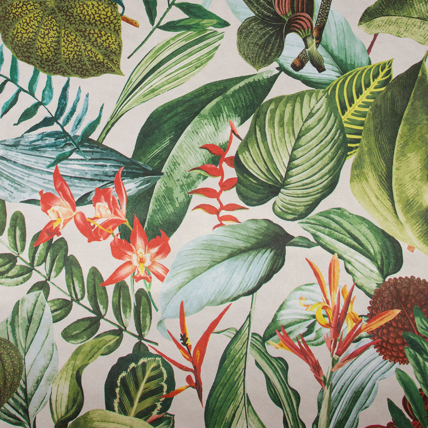 TROPICAL Kiribati Avocado 26740