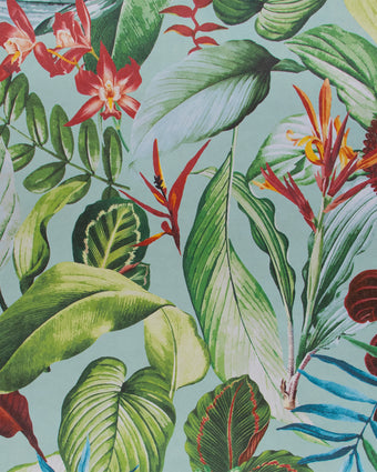 TROPICAL Kiribati Blue Banana 26741