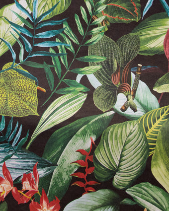 TROPICAL Kiribati Blackberry 26742