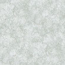 Load image into Gallery viewer, 26871 Bento Chalky Frost Mint
