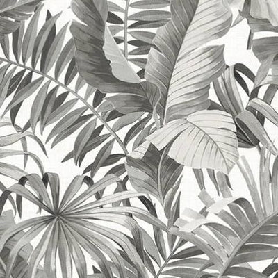 Tropical Palm Charcoal FD24134