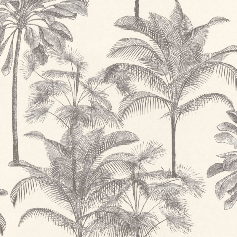 Zanzibar Palm Bouquet 290119