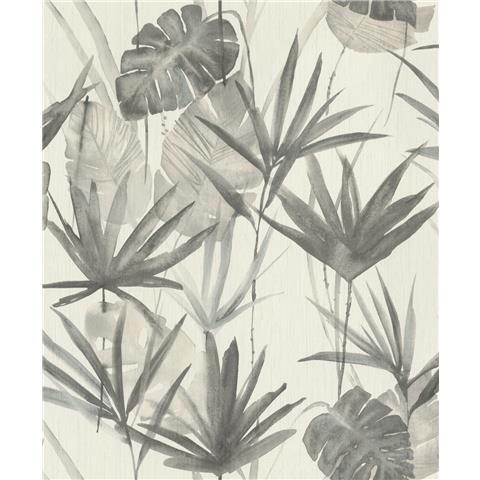 Barbara Palm Charcoal 536416