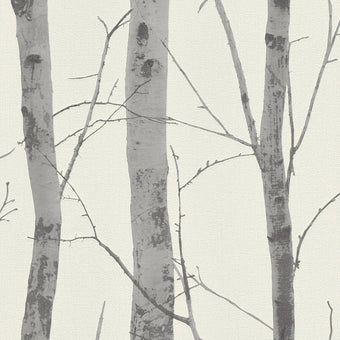 Instawalls Silver Birch Trees 5433-47