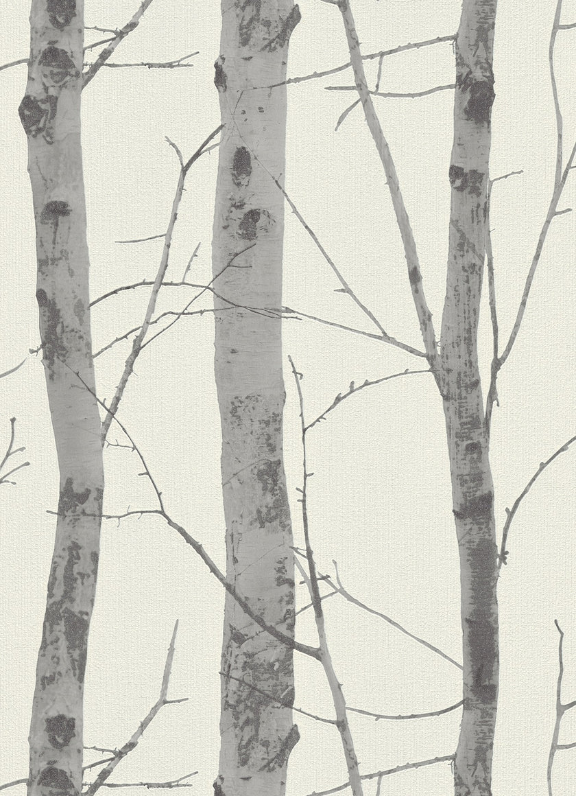 Instawalls Silver Birch Trees 5433-47