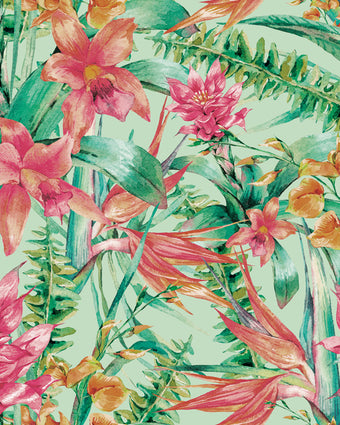 Casanova Birds of Paradise 77002