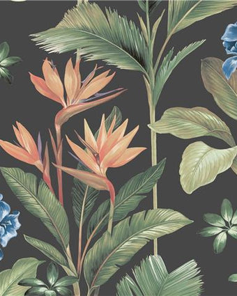 Oliana Floral Wallpaper Charcoal 8484