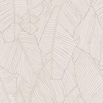 Casablanca Fanatic Cream 88118
