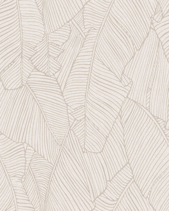 Casablanca Fanatic Cream 88118