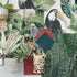 Amazonia Amherst 91300