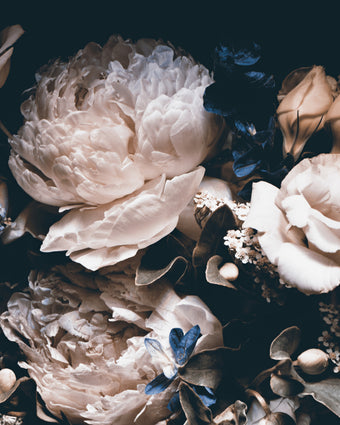 Delicate Peony  -  [Custom printed at R598/m²]
