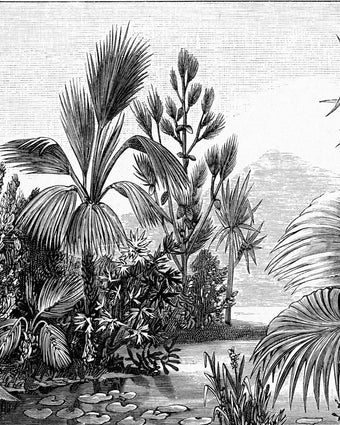 Chinoiserie Jungle Scene  -  [Custom printed at R598/m²]