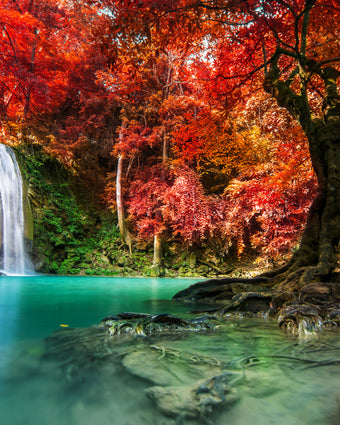 Magical Waterfall  -  [Custom printed at R598/m²]