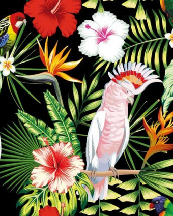 Tropical birds and leaves  -  [Custom printed at R598/m²]