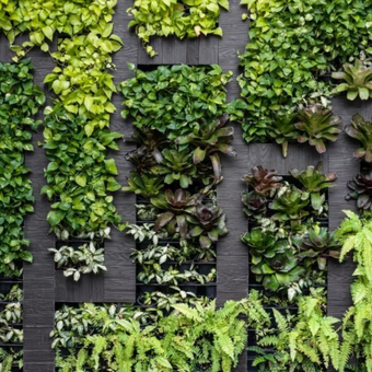 Vertical Garden  -  [Custom printed at R560/m²]