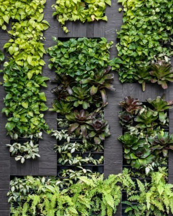 Vertical Garden  -  [Custom printed at R598/m²]