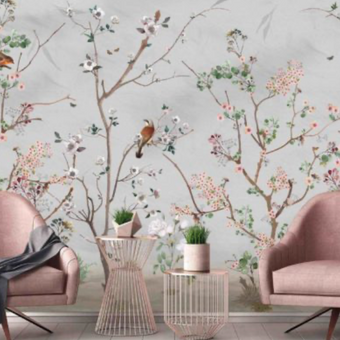 Amazon Perching Birds on Magnolia A324