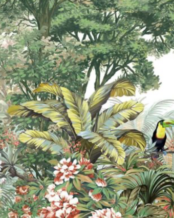 Amazon Toucan Tropics A323