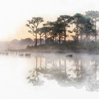 Watercolour Tree Lined Lake  -  [Custom printed at R560/m²]
