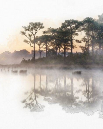Watercolour Tree Lined Lake  -  [Custom printed at R598/m²]
