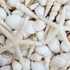 White Sea Shells and Starfish  -  [Custom printed at R560/m²]