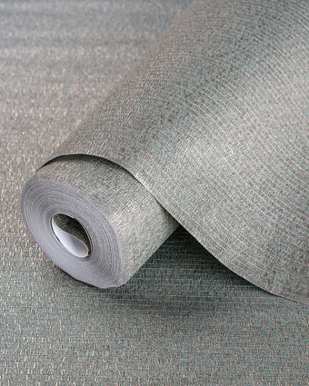 Beta Silk Texture 1106-6
