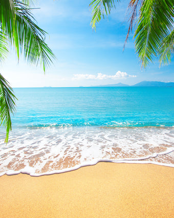 Tropical Beach with Palms  -  [Custom printed at R598/m²]