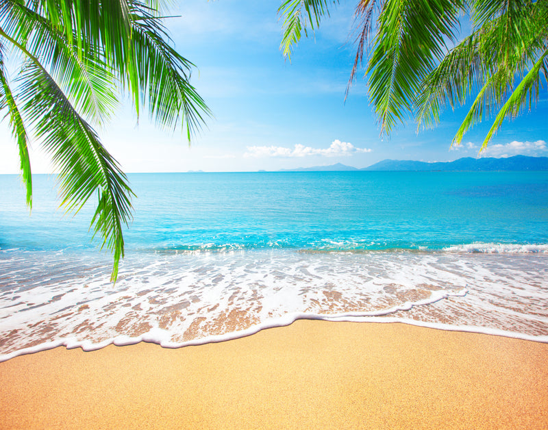 Tropical Beach with Palms  -  [Custom printed at R560/m²]